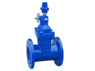 锁闭式地下弹性座封闸阀（RVCB/SBZ45X-16）