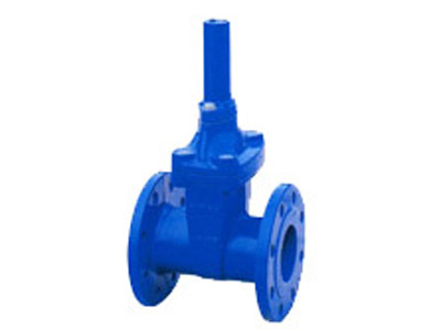锁闭弹性座封闸阀（RVCB/SBZ45X-16）