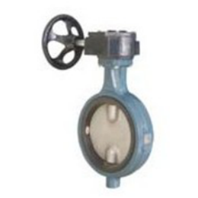 对夹蜗轮无销蝶阀 WD71X